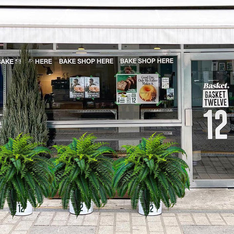 Large Fake Boston Ferns 48 inch