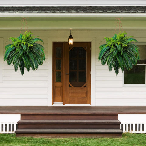 Large Fake Boston Ferns 48 inch