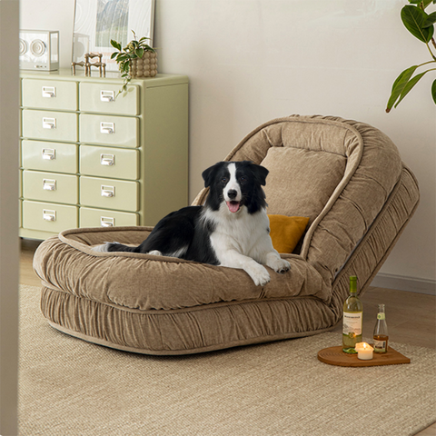 Lazy dog outlet furniture